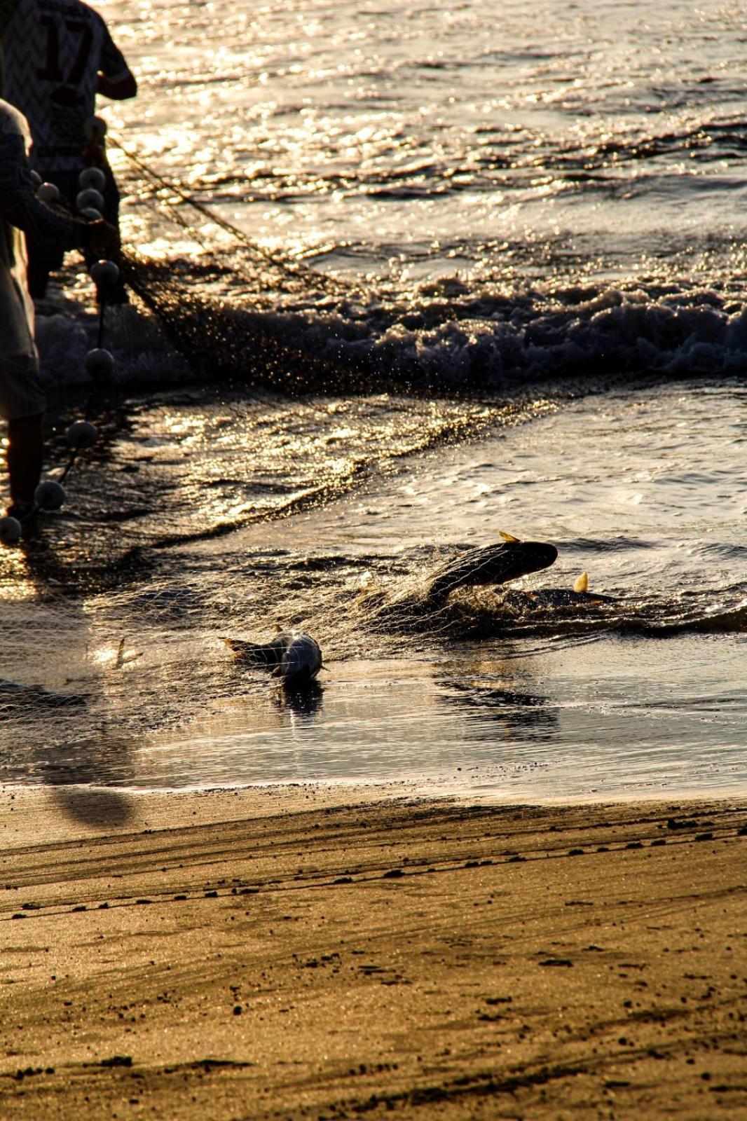 Ap Mar Azul Praia Grande Gov Celso Ramos โกเวร์นาดอร์ เซลโซ รามอส ภายนอก รูปภาพ